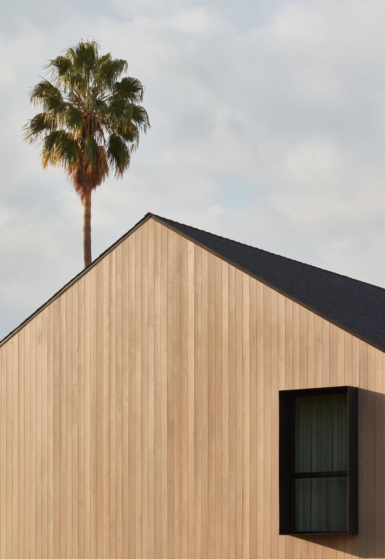 Modern residential house with wooden exterior siding and a tall palm tree in the background.